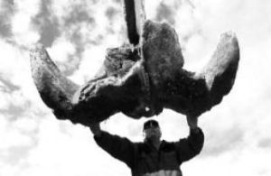 Friday Harbor Lab’ s Centennial towed a 54-foot whale carcass to the San Juans