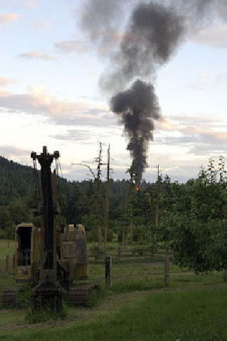 A fire destroyed the Burke Thomas cabin off Swan Road on Friday