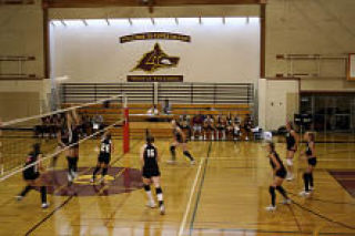 Lady Lobos face their competition at the volleyball net.