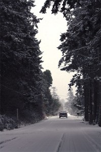 Though February is expected to be a drier month for Seattle and Portland