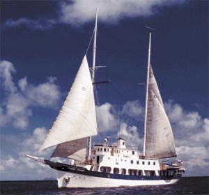 The “Yankee Trader.'