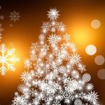 Opportunities to give back during holiday season