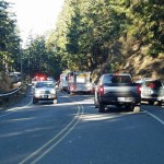 Lynn Cunningham photo