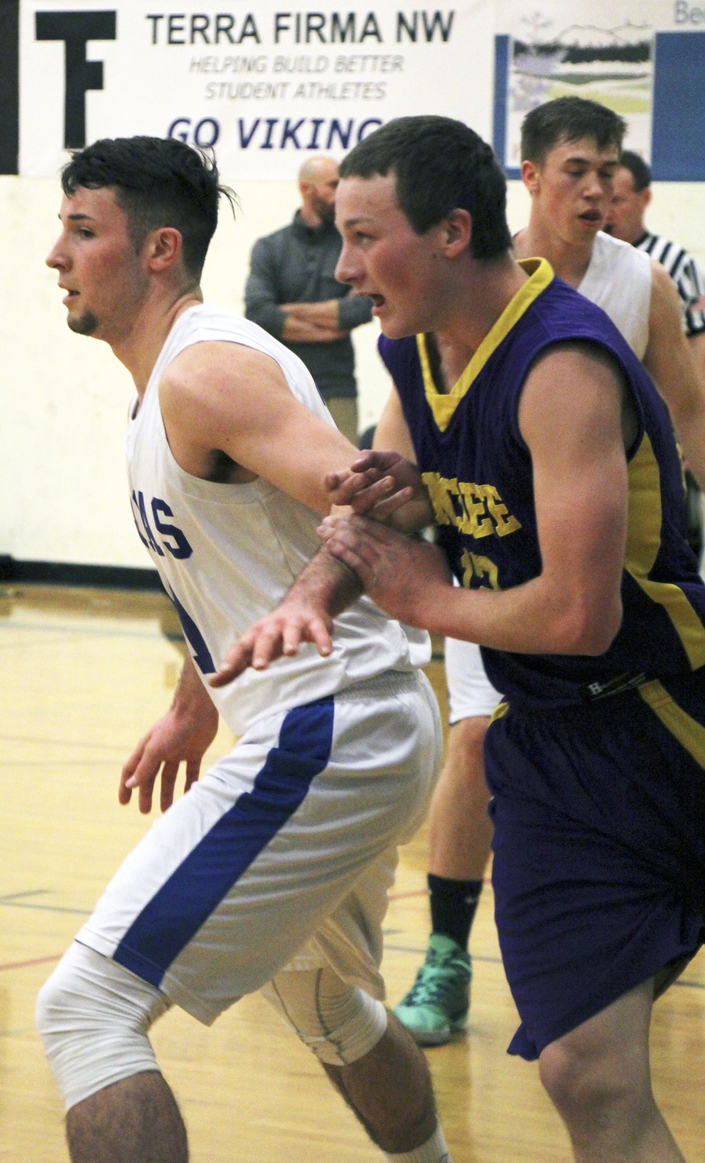 Vikings dominate in basketball