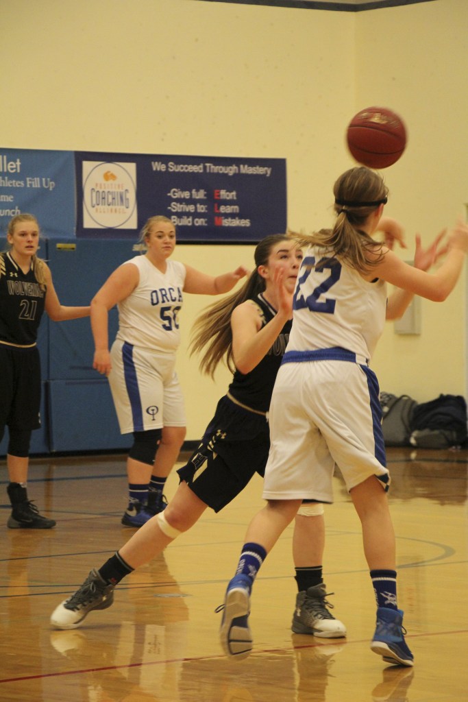 Vikings dominate Wolverines again