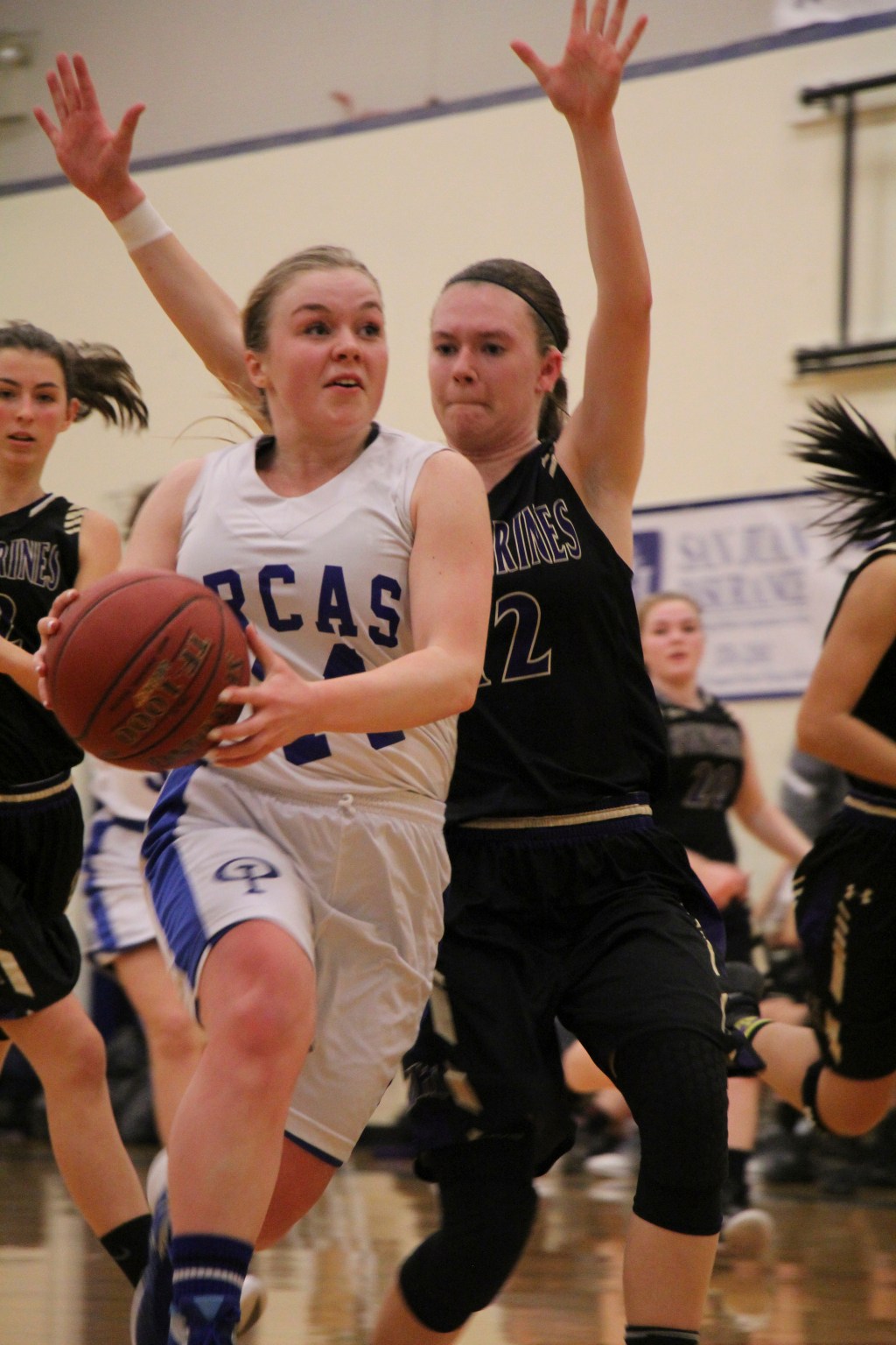 Vikings dominate Wolverines again