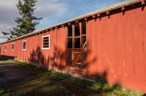 Fairgrounds horse barn put out to pasture