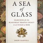 Drew Harvell discussing ‘A Sea of Glass’
