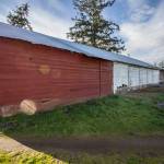 Fairgrounds horse barn put out to pasture