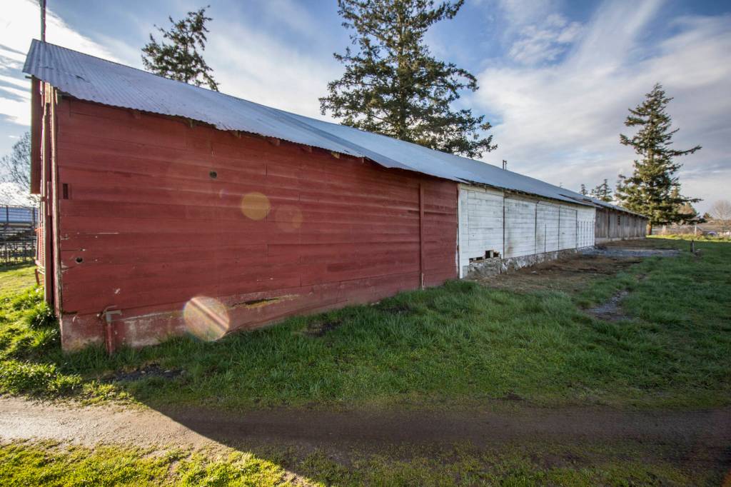 Fairgrounds horse barn put out to pasture