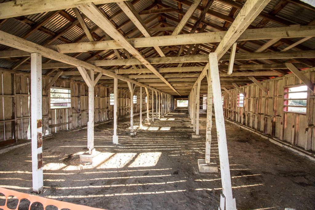 Fairgrounds horse barn put out to pasture