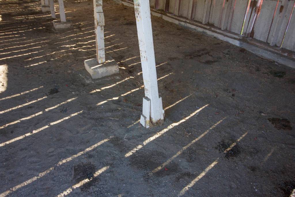 Fairgrounds horse barn put out to pasture