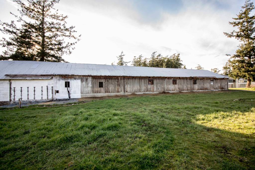 Fairgrounds horse barn put out to pasture