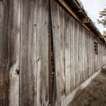 Fairgrounds horse barn put out to pasture