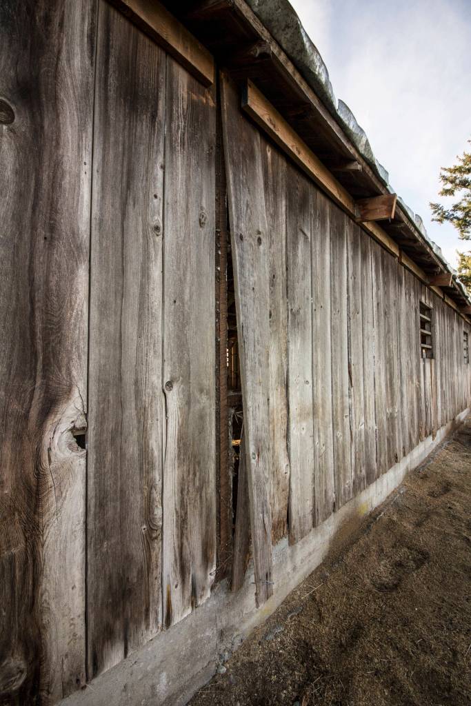 Fairgrounds horse barn put out to pasture