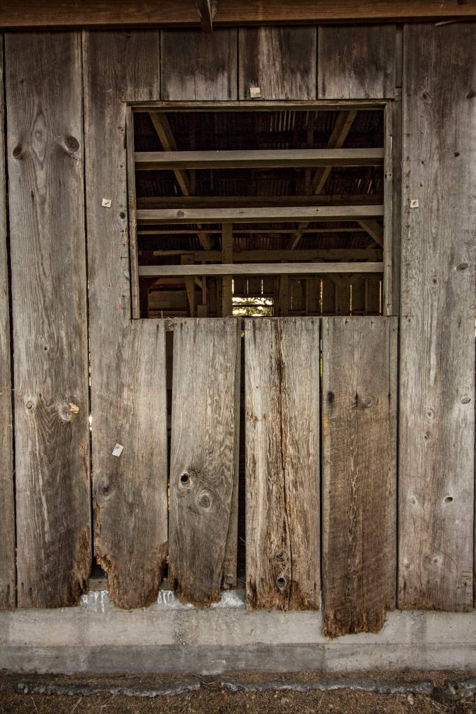 Fairgrounds horse barn put out to pasture