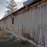Fairgrounds horse barn put out to pasture