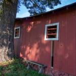 Fairgrounds horse barn put out to pasture