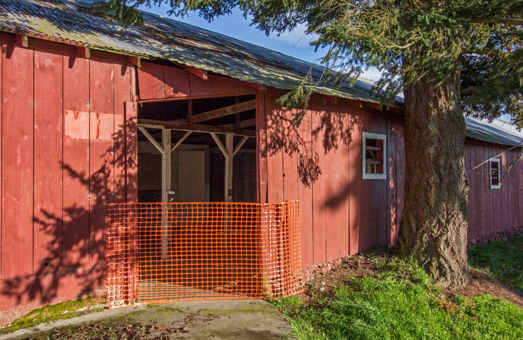 Fairgrounds horse barn put out to pasture