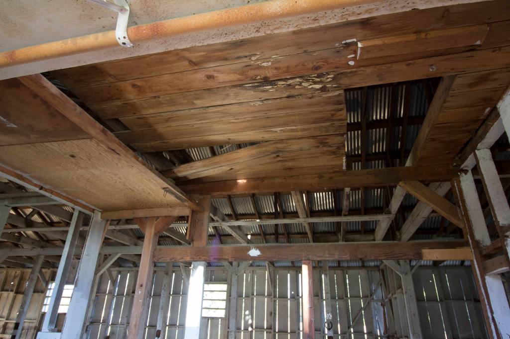 Fairgrounds horse barn put out to pasture