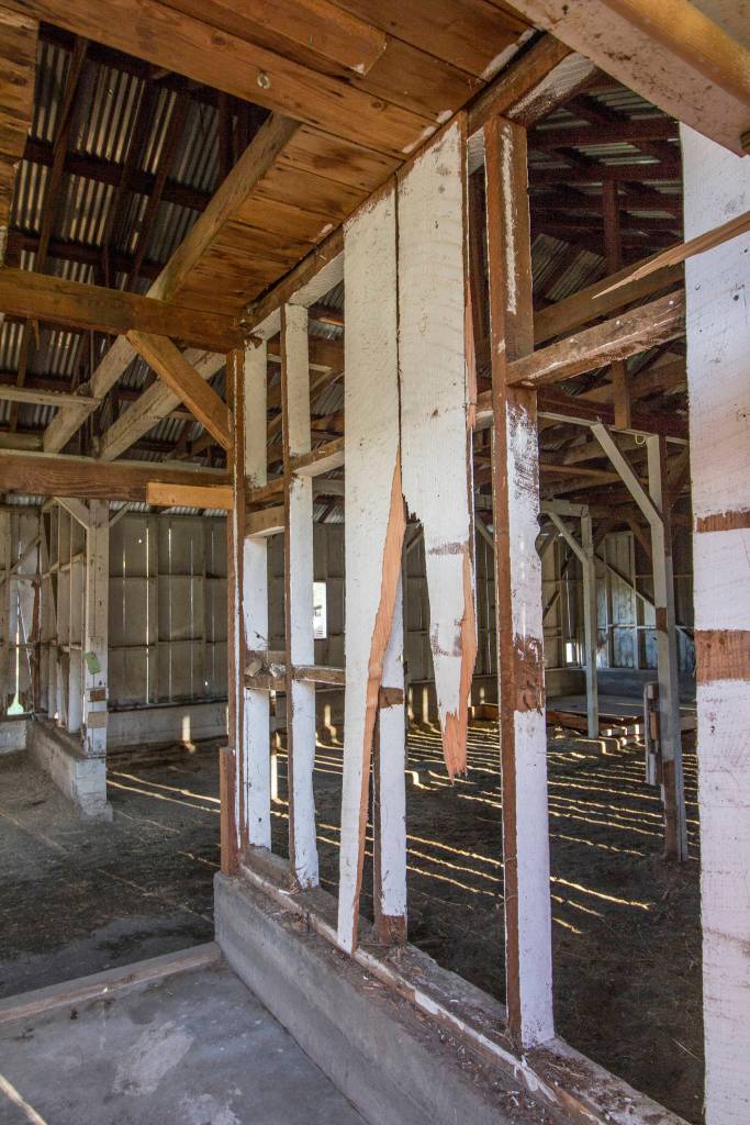 Fairgrounds horse barn put out to pasture