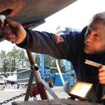 Free trades training available for islanders