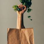 County bans paper bags | The Flounder