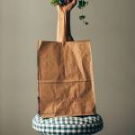 County bans paper bags | The Flounder
