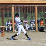 This week in Viking sports