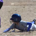 This week in Viking sports