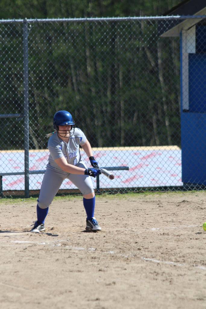 This week in Viking sports