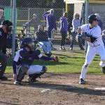 Vikings sports update