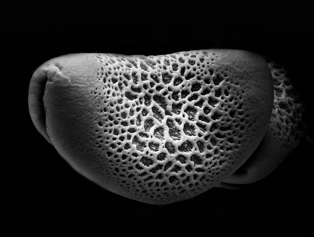 Robert Dash explores what’s ‘On an Acre Shy of Eternity’