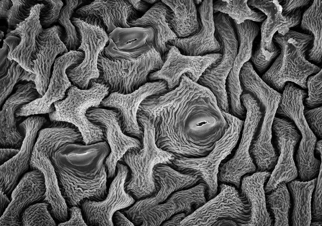 Robert Dash explores what’s ‘On an Acre Shy of Eternity’