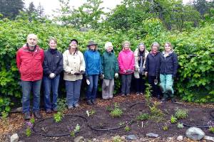 Native plant site in public school garden