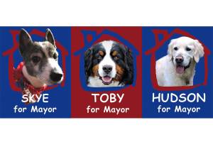 Candidates trade barbs and brews