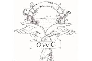 Orcas Women’s Coalition quartly meeting