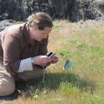 Contributed photo/Russel Barsh                                Kwiaht botanist Madrona Murphy inventories plant species at Iceberg Point in 2015 to identify trails that encroached on rare or sensitive plant species.