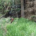 Mark Mayer took this photo in Olga.