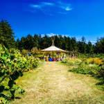 A Sunday afternoon at Orcasong Farm