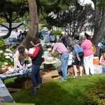 Market Day is on the way