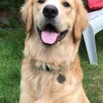 Help Kai return home