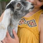 Fun with farm animals | Week-long camp wraps up