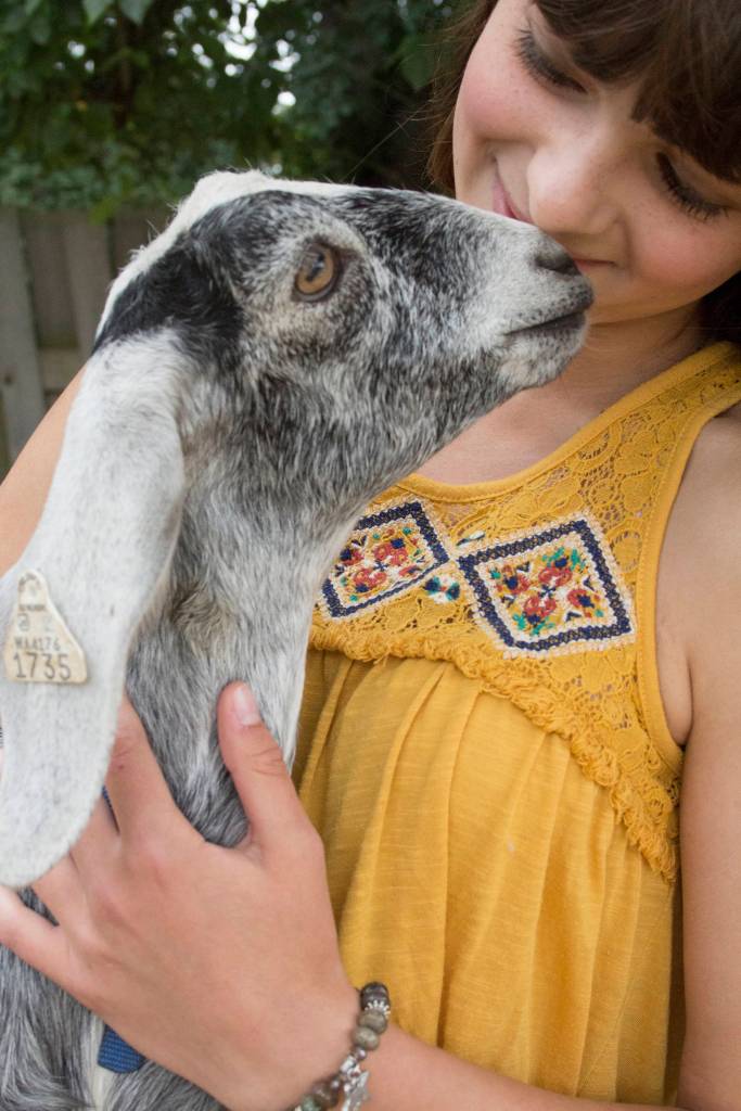 Fun with farm animals | Week-long camp wraps up