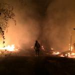 Cabin and wildland fire extinguished