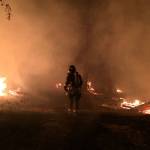 Cabin and wildland fire extinguished