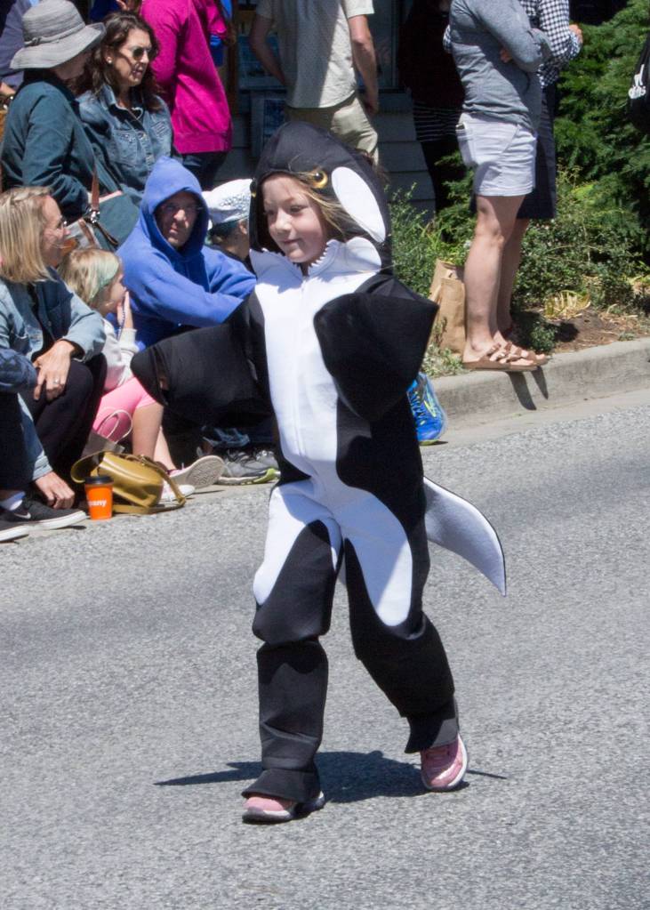 Chamber’s annual Community Parade | Photos