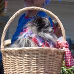 Chamber’s annual Community Parade | Photos