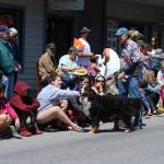 Chamber’s annual Community Parade | Photos