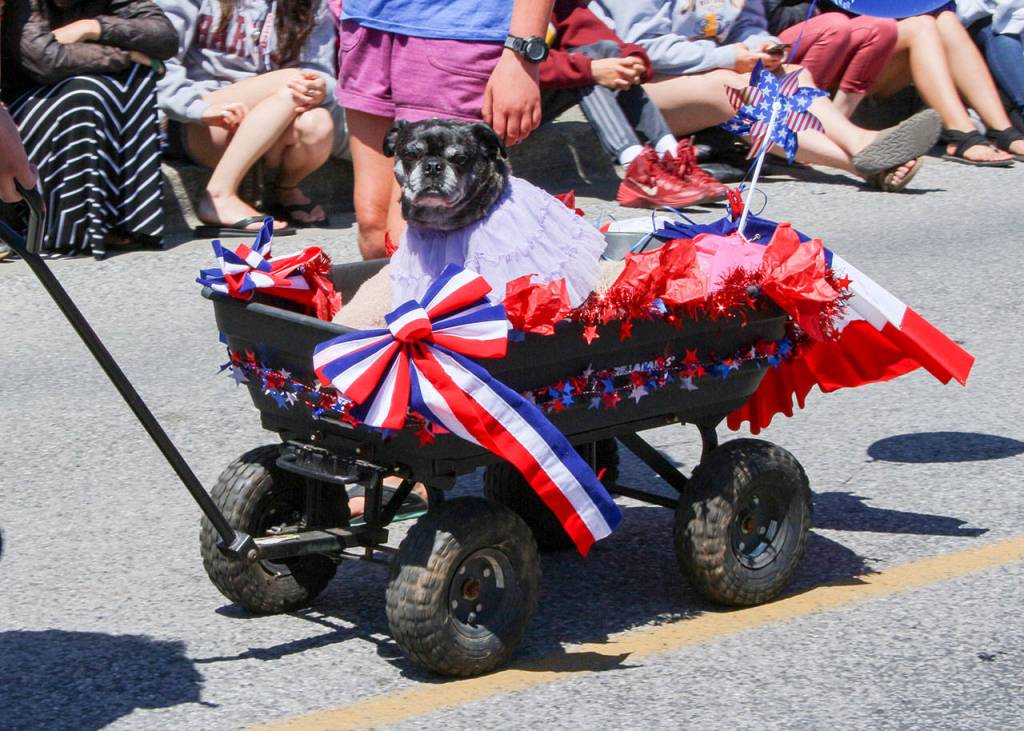 Chamber’s annual Community Parade | Photos